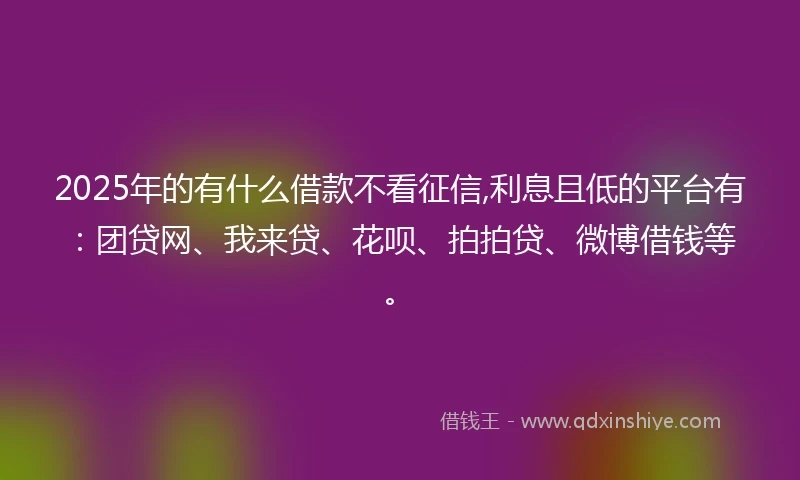 2025年的有什么借款不看征信,利息且低的平台有：团贷网、我来贷、花呗、拍拍贷、微博借钱等。