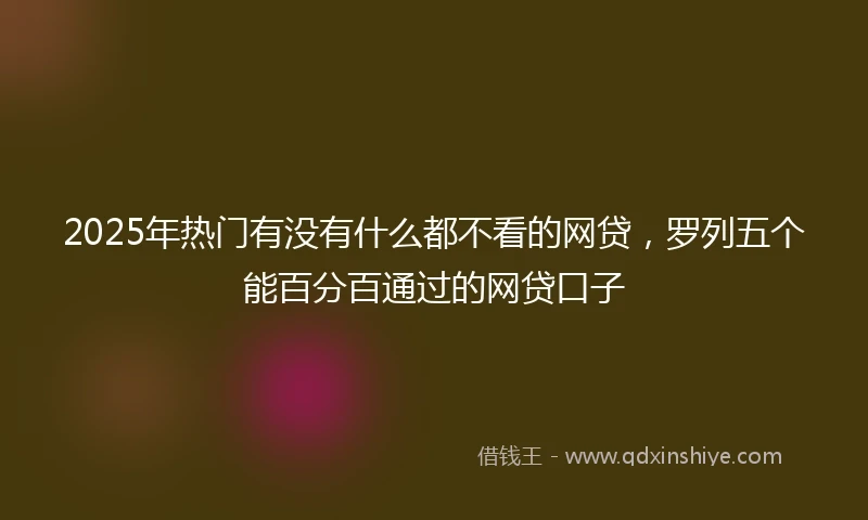 2025年热门有没有什么都不看的网贷，罗列五个能百分百通过的网贷口子