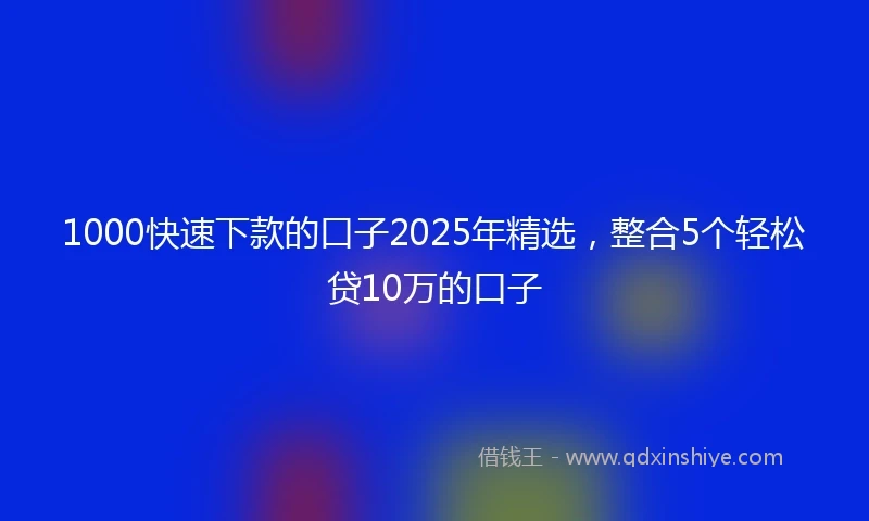 1000快速下款的口子2025年精选，整合5个轻松贷10万的口子
