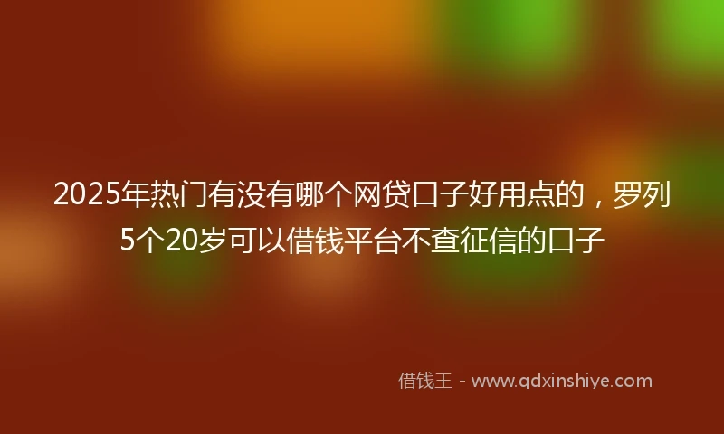 2025年热门有没有哪个网贷口子好用点的，罗列5个20岁可以借钱平台不查征信的口子