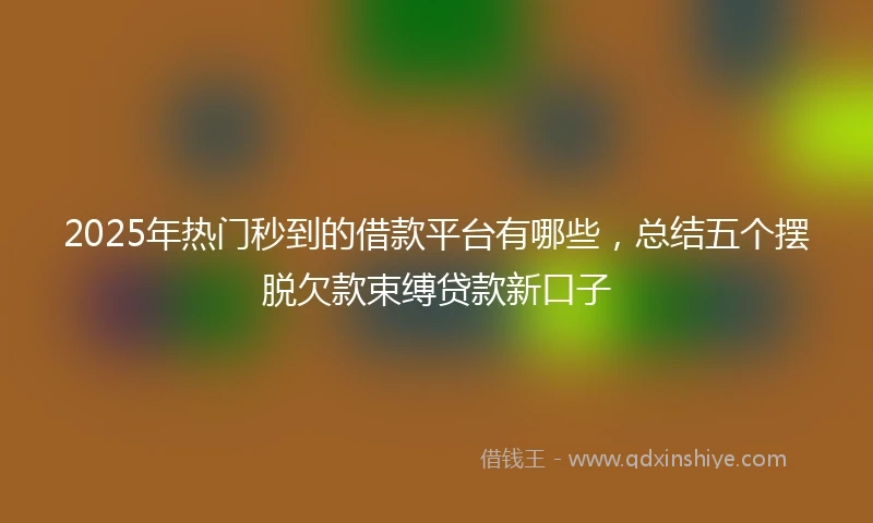2025年热门秒到的借款平台有哪些，总结五个摆脱欠款束缚贷款新口子