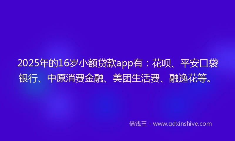 2025年的16岁小额贷款app有：花呗、平安口袋银行、中原消费金融、美团生活费、融逸花等。