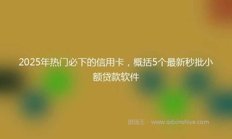 2025年热门必下的信用卡，概括5个最新秒批小额贷款软件