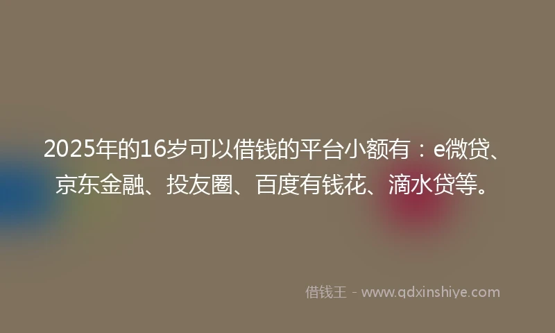 2025年的16岁可以借钱的平台小额有：e微贷、京东金融、投友圈、百度有钱花、滴水贷等。