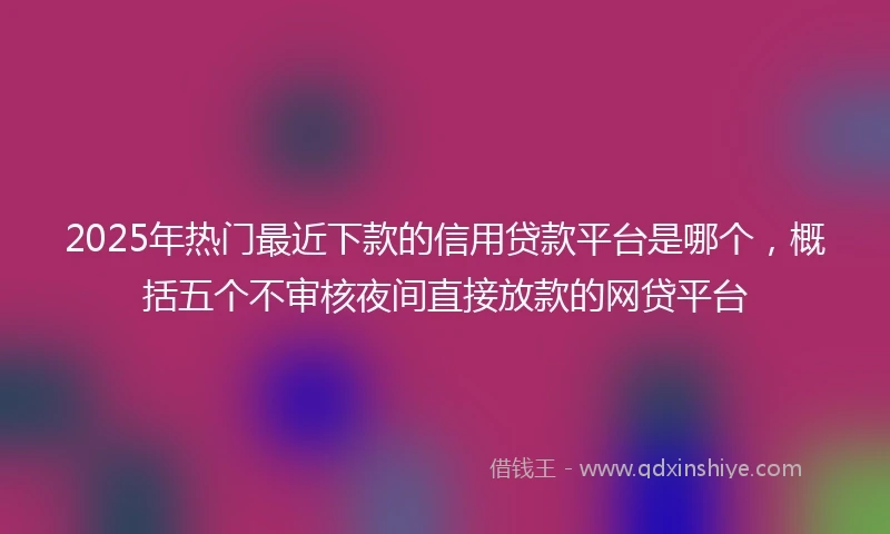 2025年热门最近下款的信用贷款平台是哪个，概括五个不审核夜间直接放款的网贷平台