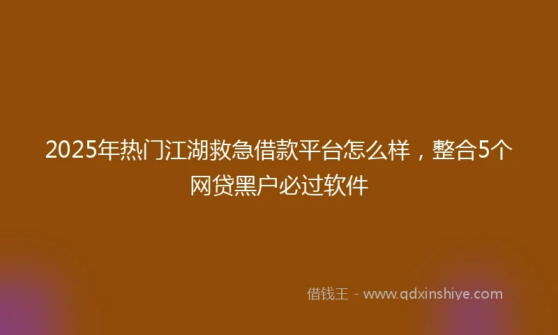 2025年热门江湖救急借款平台怎么样，整合5个网贷黑户必过软件
