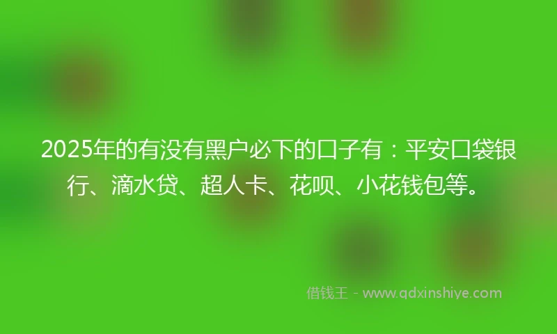 2025年的有没有黑户必下的口子有：平安口袋银行、滴水贷、超人卡、花呗、小花钱包等。
