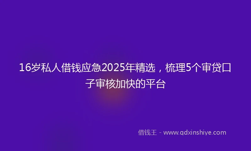 16岁私人借钱应急2025年精选，梳理5个审贷口子审核加快的平台