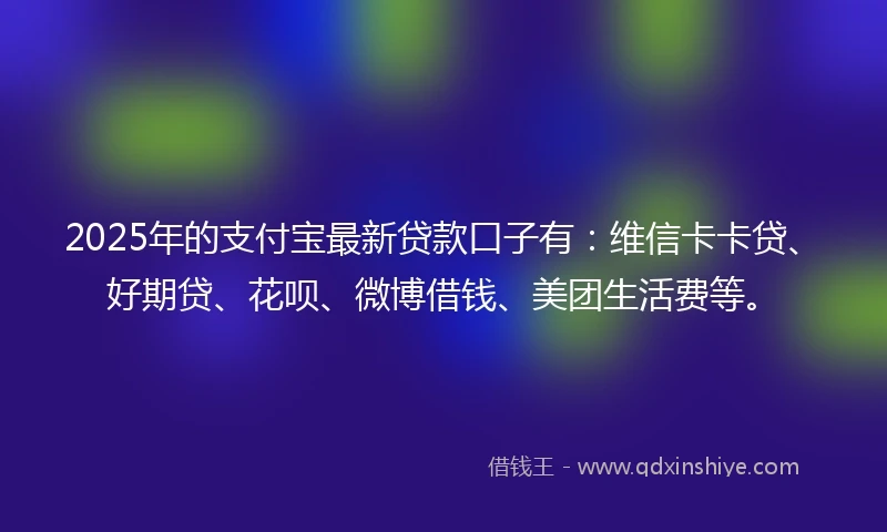 2025年的支付宝最新贷款口子有：维信卡卡贷、好期贷、花呗、微博借钱、美团生活费等。