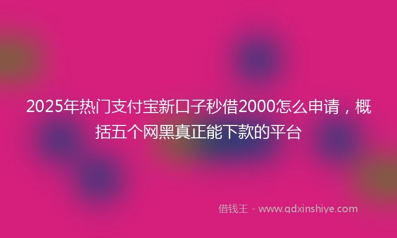 2025年热门支付宝新口子秒借2000怎么申请，概括五个网黑真正能下款的平台