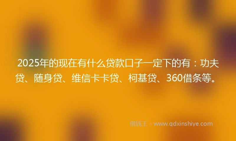 2025年的现在有什么贷款口子一定下的有：功夫贷、随身贷、维信卡卡贷、柯基贷、360借条等。