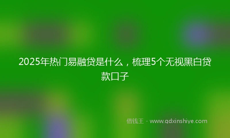 2025年热门易融贷是什么，梳理5个无视黑白贷款口子
