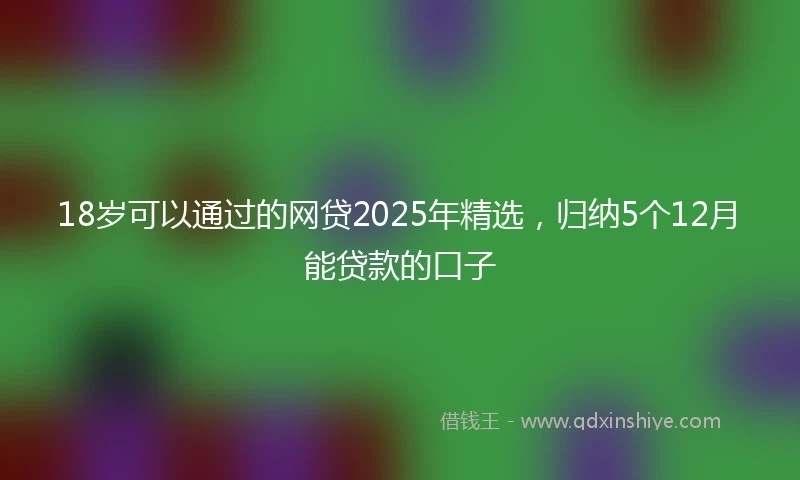 18岁可以通过的网贷2025年精选，归纳5个12月能贷款的口子
