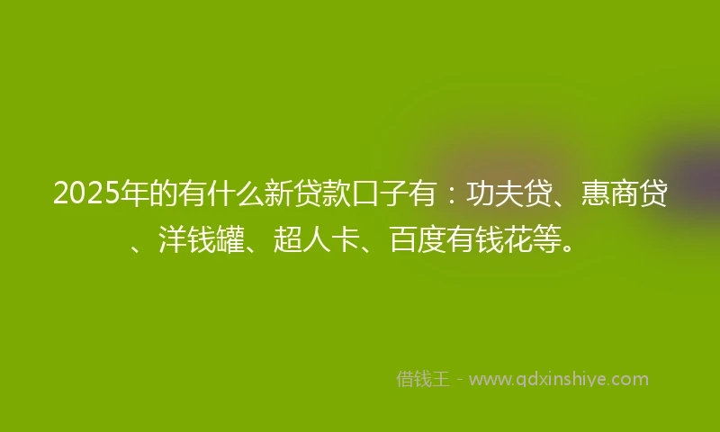 2025年的有什么新贷款口子有：功夫贷、惠商贷、洋钱罐、超人卡、百度有钱花等。