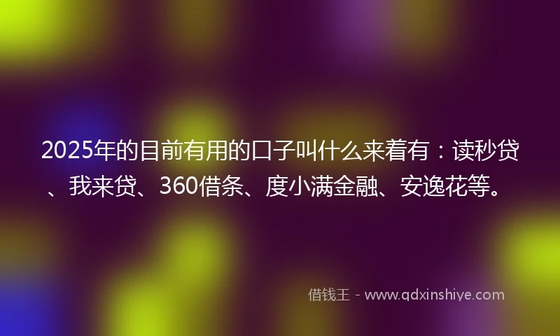 2025年的目前有用的口子叫什么来着有：读秒贷、我来贷、360借条、度小满金融、安逸花等。