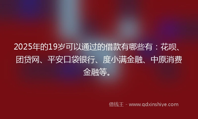 2025年的19岁可以通过的借款有哪些有：花呗、团贷网、平安口袋银行、度小满金融、中原消费金融等。