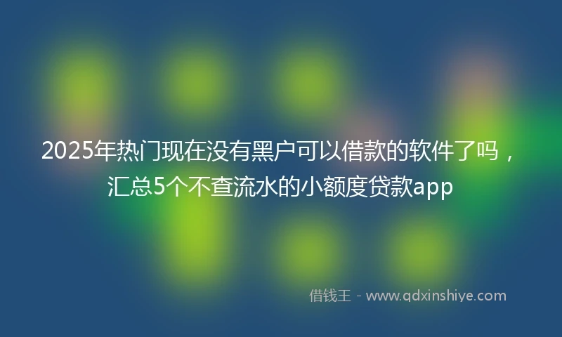 2025年热门现在没有黑户可以借款的软件了吗,汇总5个不查流水的小额度贷款app