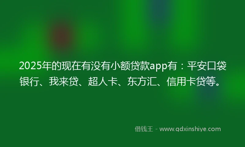 2025年的现在有没有小额贷款app有:平安口袋银行、我来贷、超人卡、东方汇、信用卡贷等。