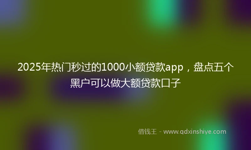 2025年热门秒过的1000小额贷款app，盘点五个黑户可以做大额贷款口子