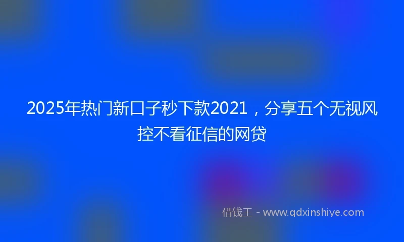 2025年热门新口子秒下款2021，分享五个无视风控不看征信的网贷