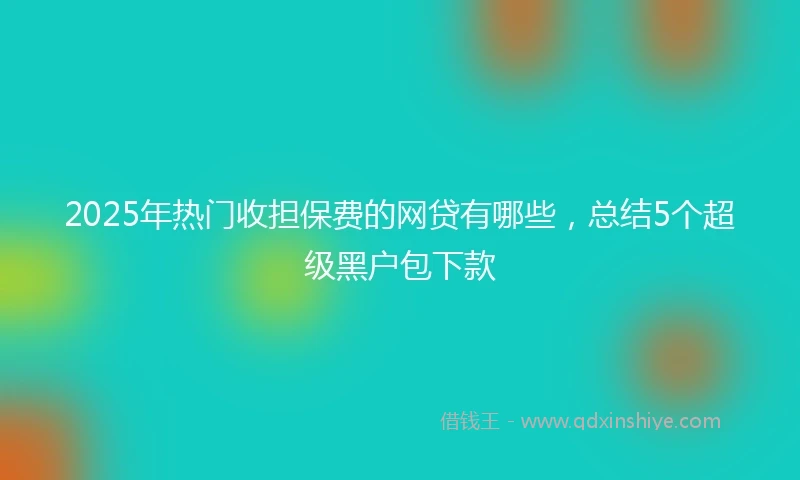 2025年热门收担保费的网贷有哪些，总结5个超级黑户包下款