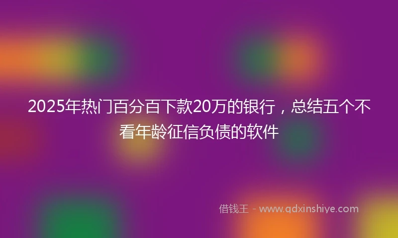 2025年热门百分百下款20万的银行，总结五个不看年龄征信负债的软件
