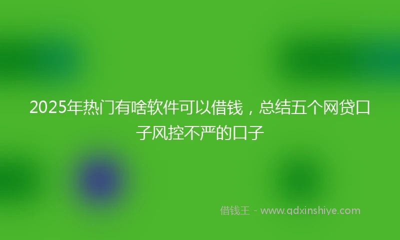2025年热门有啥软件可以借钱，总结五个网贷口子风控不严的口子