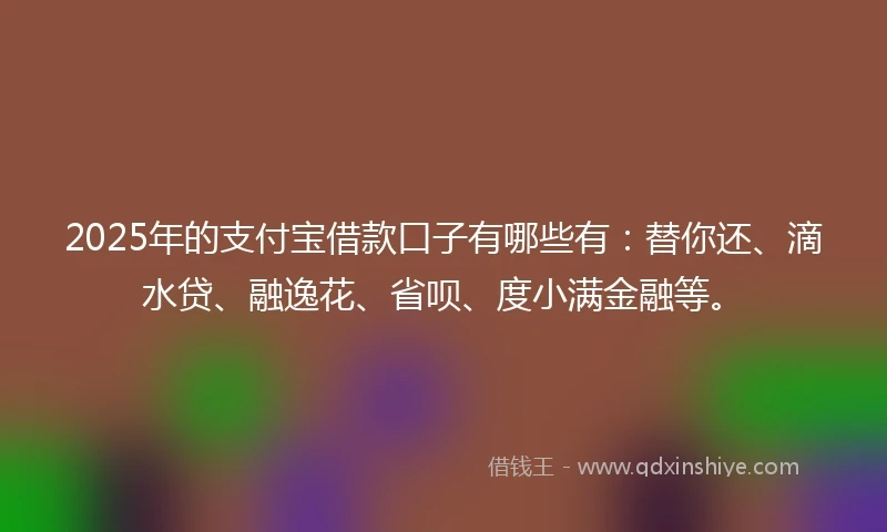 2025年的支付宝借款口子有哪些有：替你还、滴水贷、融逸花、省呗、度小满金融等。