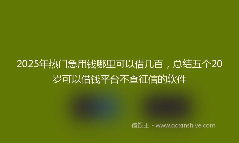2025年热门急用钱哪里可以借几百，总结五个20岁可以借钱平台不查征信的软件