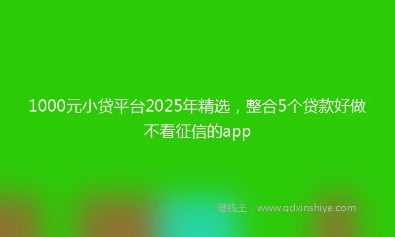 1000元小贷平台2025年精选，整合5个贷款好做不看征信的app
