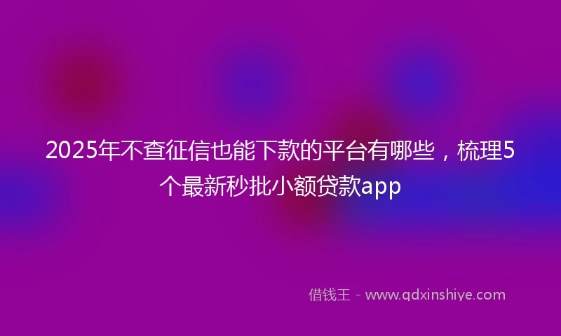 2025年不查征信也能下款的平台有哪些，梳理5个最新秒批小额贷款app