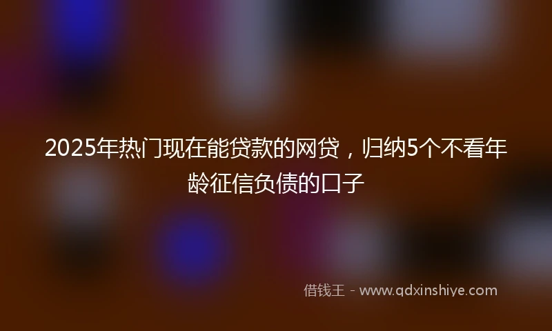 2025年热门现在能贷款的网贷,归纳5个不看年龄征信负债的口子