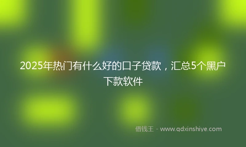 2025年热门有什么好的口子贷款，汇总5个黑户下款软件