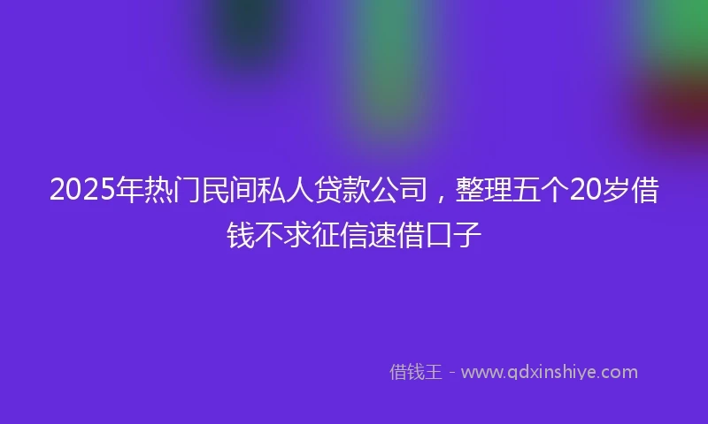 2025年热门民间私人贷款公司，整理五个20岁借钱不求征信速借口子