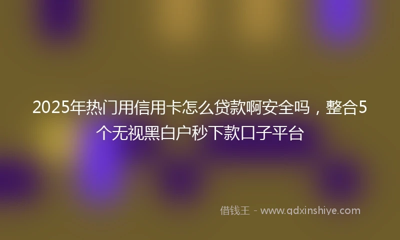2025年热门用信用卡怎么贷款啊安全吗，整合5个无视黑白户秒下款口子平台