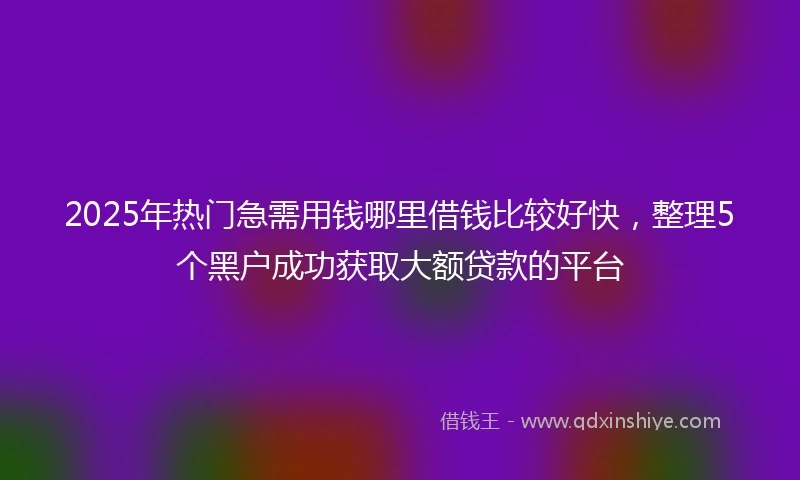 2025年热门急需用钱哪里借钱比较好快，整理5个黑户成功获取大额贷款的平台