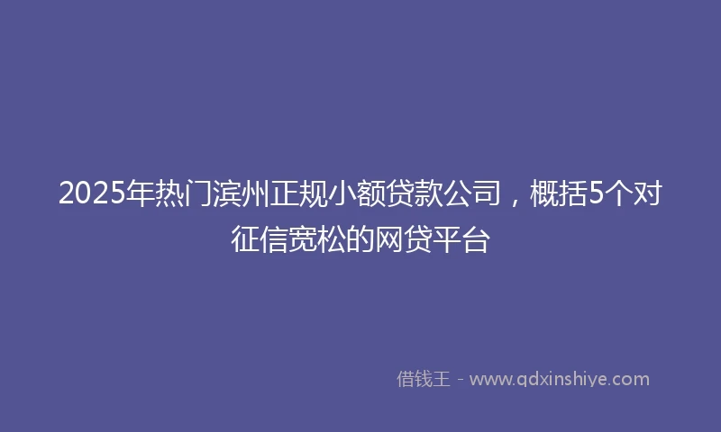 2025年热门滨州正规小额贷款公司，概括5个对征信宽松的网贷平台