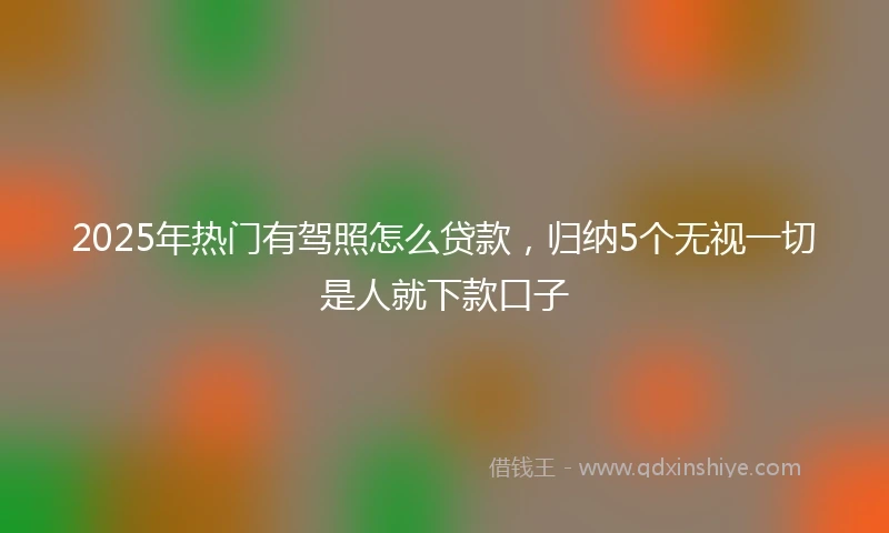 2025年热门有驾照怎么贷款，归纳5个无视一切是人就下款口子