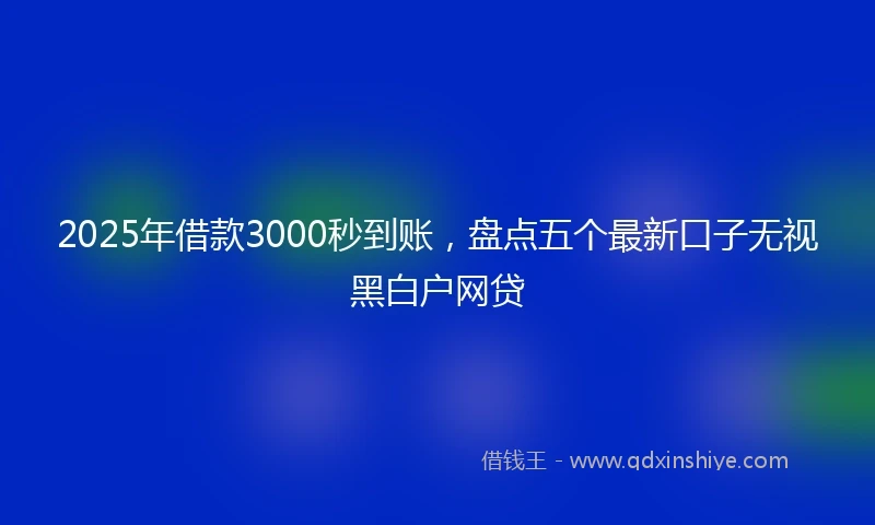 2025年借款3000秒到账，盘点五个最新口子无视黑白户网贷