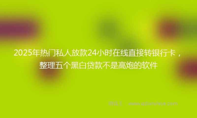 2025年热门私人放款24小时在线直接转银行卡,整理五个黑白贷款不是高炮的软件