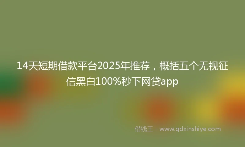 14天短期借款平台2025年推荐，概括五个无视征信黑白100%秒下网贷app
