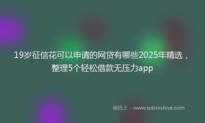 19岁征信花可以申请的网贷有哪些2025年精选，整理5个轻松借款无压力app