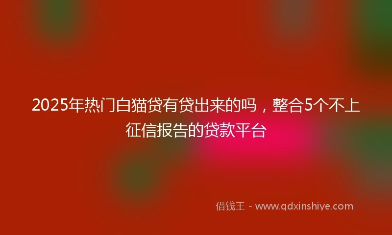 2025年热门白猫贷有贷出来的吗，整合5个不上征信报告的贷款平台