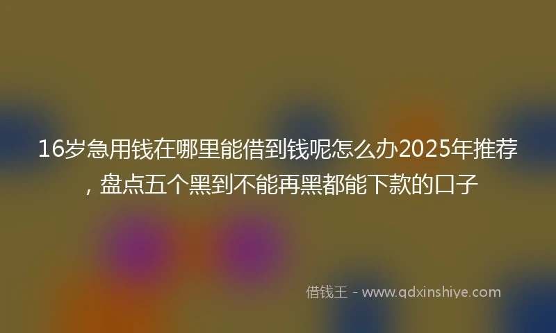 16岁急用钱在哪里能借到钱呢怎么办2025年推荐，盘点五个黑到不能再黑都能下款的口子