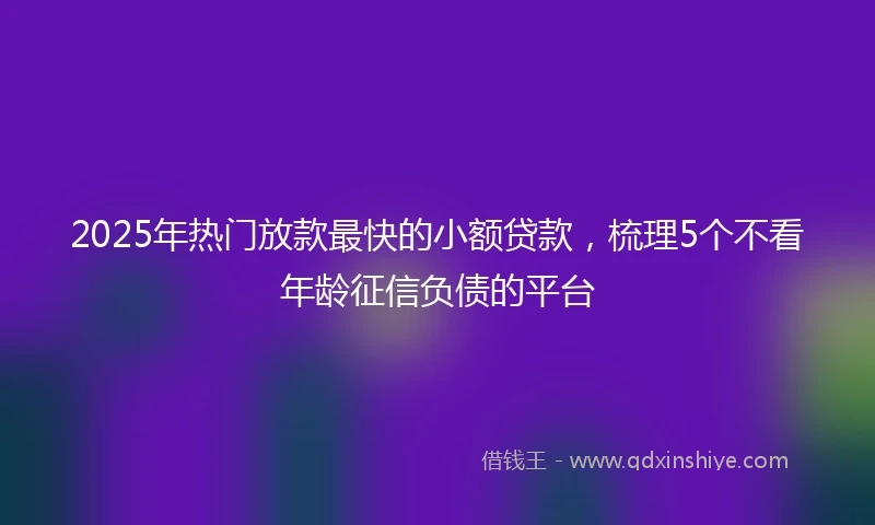2025年热门放款最快的小额贷款，梳理5个不看年龄征信负债的平台