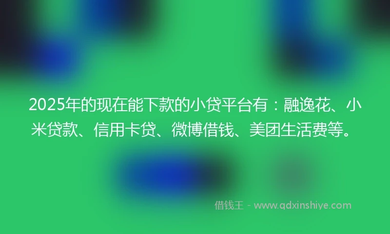 2025年的现在能下款的小贷平台有：融逸花、小米贷款、信用卡贷、微博借钱、美团生活费等。