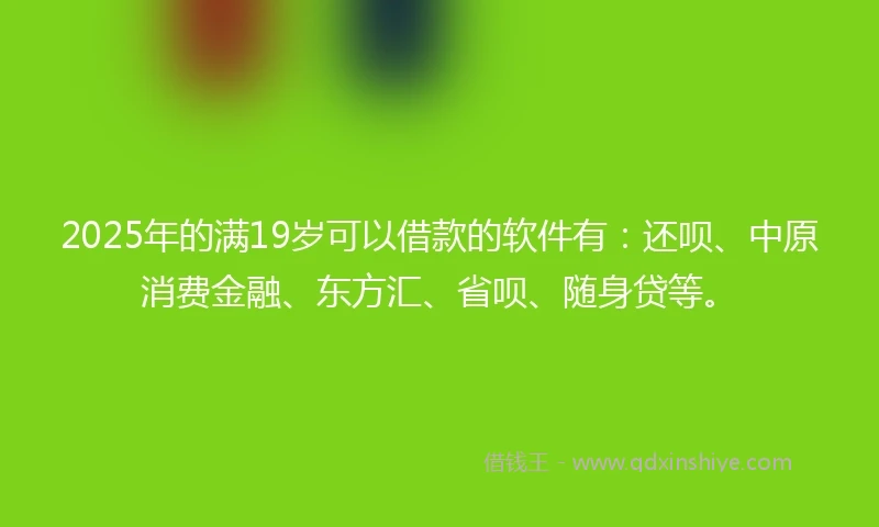 2025年的满19岁可以借款的软件有：还呗、中原消费金融、东方汇、省呗、随身贷等。