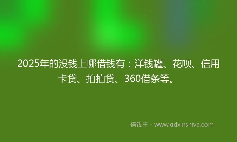 2025年的没钱上哪借钱有：洋钱罐、花呗、信用卡贷、拍拍贷、360借条等。