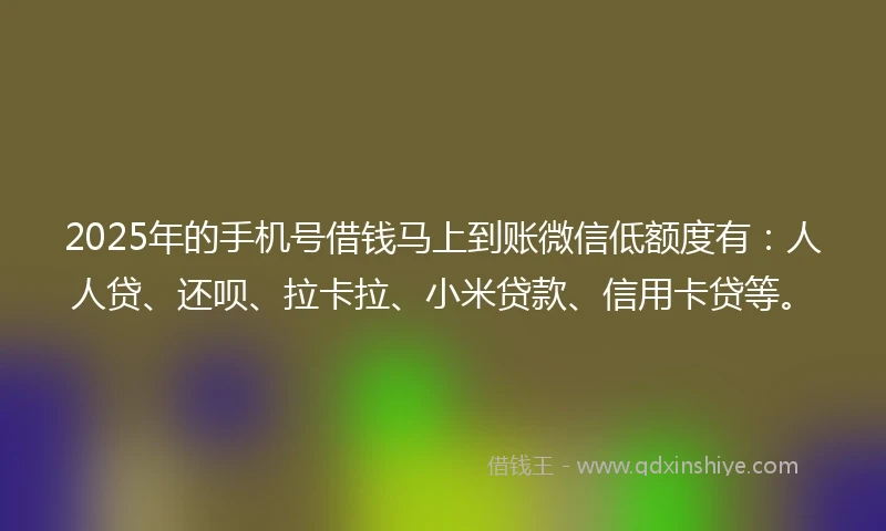 2025年的手机号借钱马上到账微信低额度有：人人贷、还呗、拉卡拉、小米贷款、信用卡贷等。