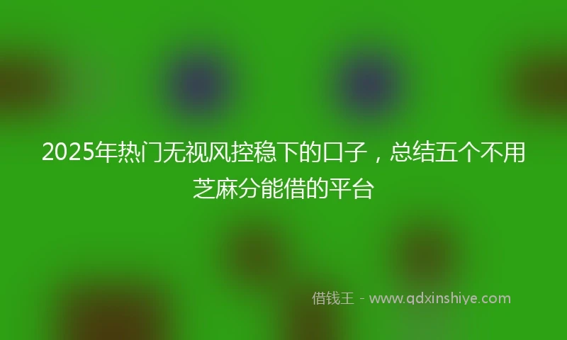 2025年热门无视风控稳下的口子，总结五个不用芝麻分能借的平台